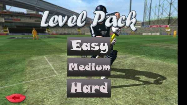 Best Cricket Game The Run screenshot 4