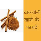 Dalchini Khane ke 112 Fayde In Hindi أيقونة