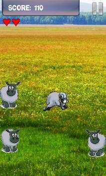 Sheep Game for Android screenshot 1