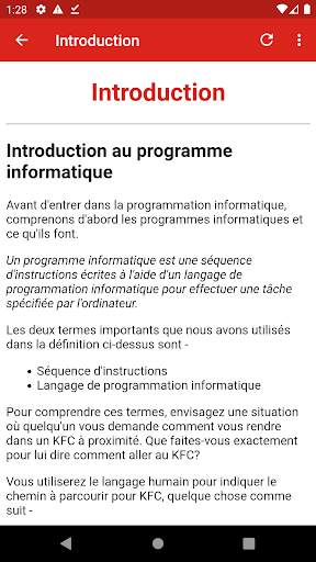 Cours Programmation Informatique - DEBUTANTS скриншот 3