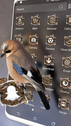 Jay Bird Theme स्क्रीनशॉट 2