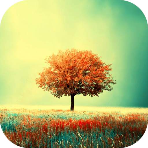 Awesome-Land Live wallpaper HD 3.7.3