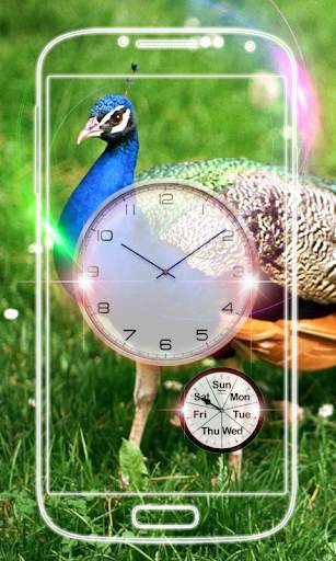 Peacock Clock Live Wallpaper screenshot 8