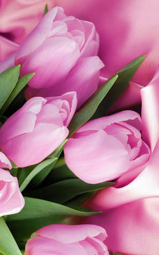 HD Pink Tulips Live Wallpaper screenshot 4
