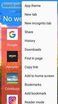 Indian browser screenshot 3
