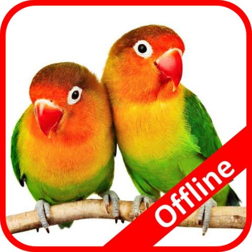 Masteran Lovebird Lengkap Offline 1.1