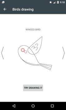 how to learn Draw Birds screenshot 6