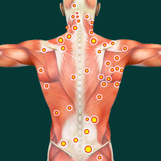 Acupressure Point Guide आइकन
