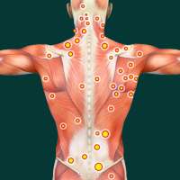 Acupressure Point Guide
