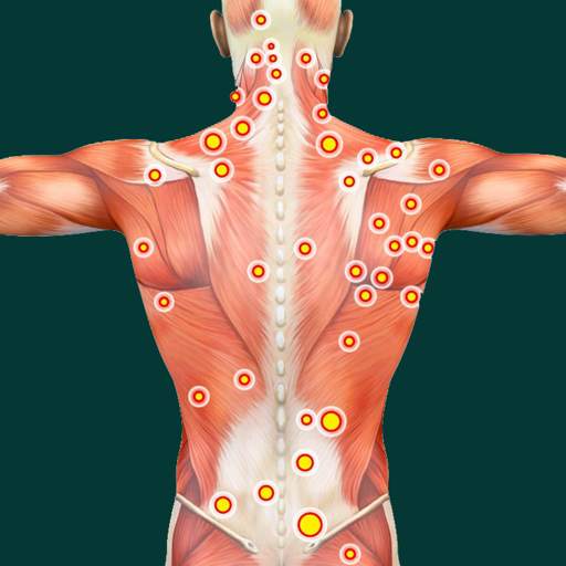 Acupressure Point Guide 1.0