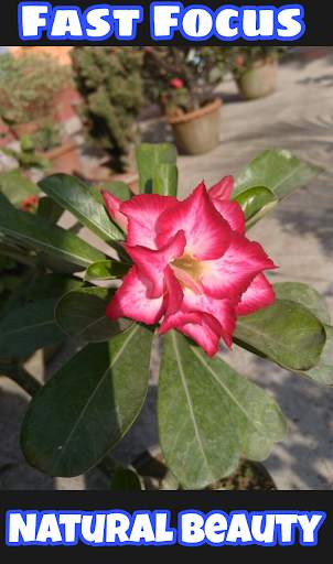 Portrait Camera - Bokeh Or Depth Mode screenshot 3