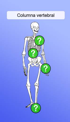 Anatomía screenshot 3
