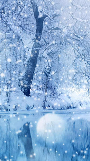 Four Season APUS Live Wallpaper screenshot 6