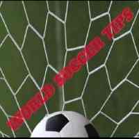 WORLD SOCCER  TIPS logo