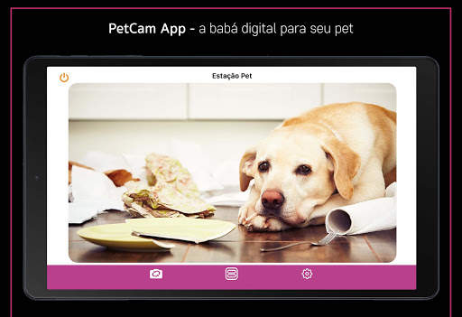 PetCam App - Pet Câmera App screenshot 2