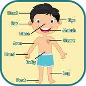 Learning Human Body Parts