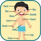Learning Human Body Parts 1.2