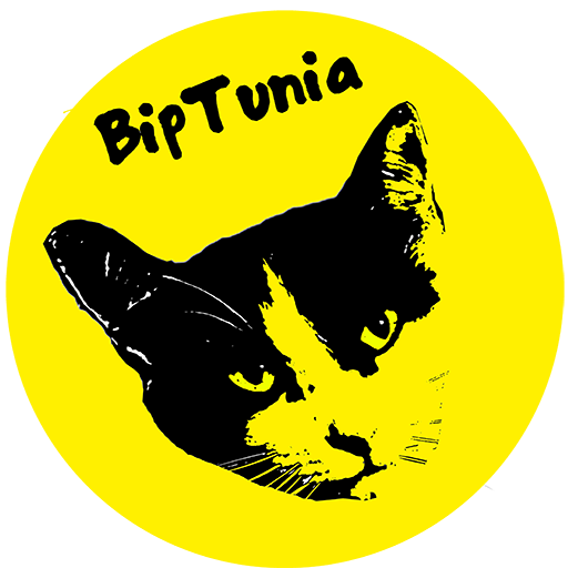 Radio Bip icon