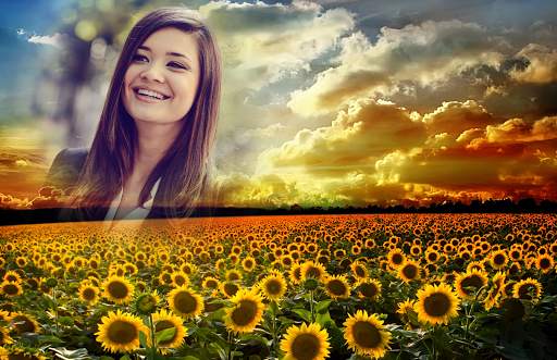 Sunflower Photo Frames 2 تصوير الشاشة