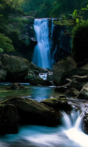 Nature Free HD Live Wallpaper screenshot 1