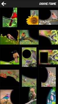 Bird Art Frames screenshot 1