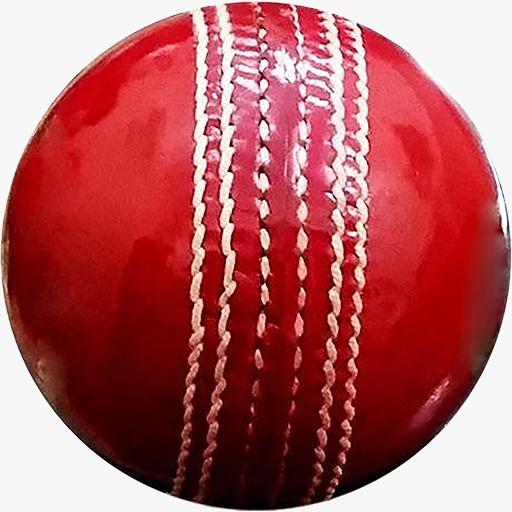 ODI Cricket World Cup 2023 icon