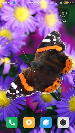 Butterfly wallpaper screenshot 13
