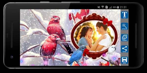 Love Birds Photo Frames screenshot 7