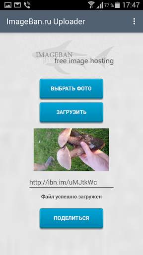 ImageBan Uploader скриншот 3