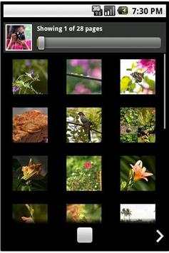 Flickr PF 3 تصوير الشاشة