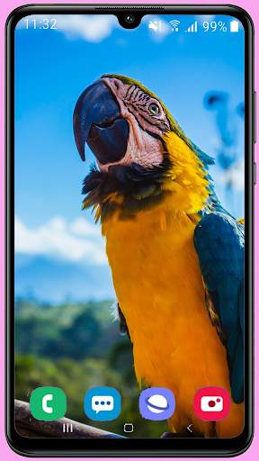 Parrots Wallpaper Best HD screenshot 13