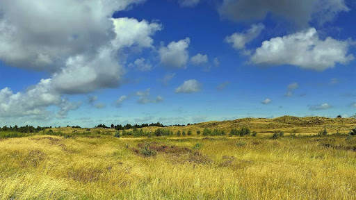 Summer Wallpapers : backgrounds hd screenshot 14