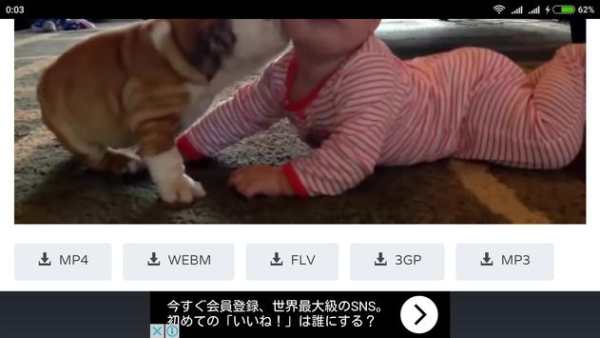 Funny Videos 2016 screenshot 6