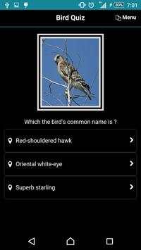 Bird Quiz screenshot 4