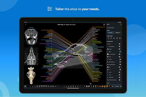 vet-Anatomy screenshot 13