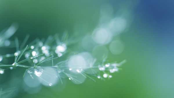 Glitter Live Wallpaper : 7fon & LWP 9 تصوير الشاشة