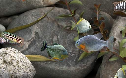 MyLake 3D Aquarium screenshot 4