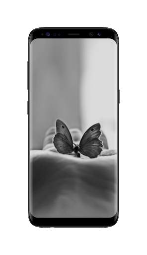 Black and White Wallpaper HD screenshot 6