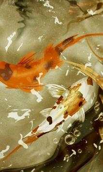 KOI Lucky Fish 3D Theme New Wallpapers screenshot 1