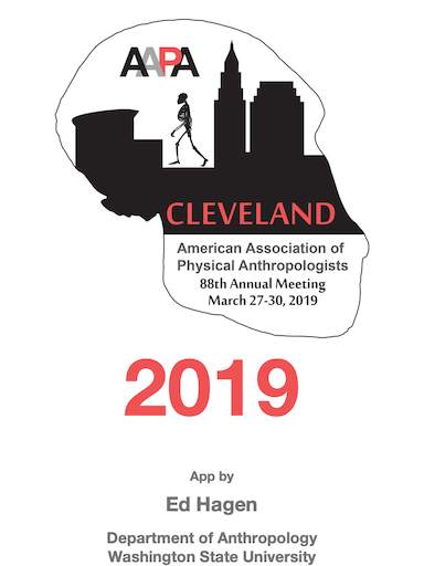 AAPA 2019 screenshot 1