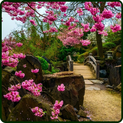 Nature Wallpapers أيقونة