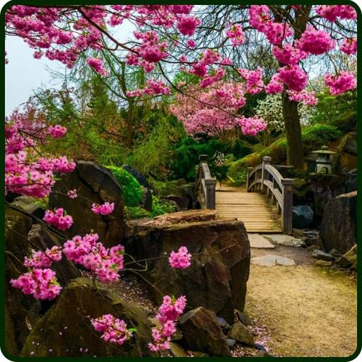 Nature Wallpapers 5.0
