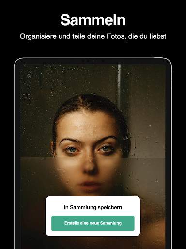 Pexels: HD  Videos & Fotos screenshot 10