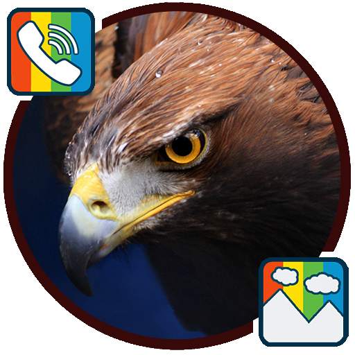 Eagle - RINGTONES and WALLPAPERS 1.0