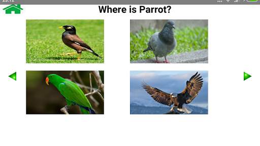 Animal and Bird Sound for Kids screenshot 6