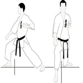 learn karate icon
