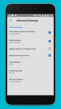 Indian Browser screenshot 3
