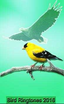 Bird Ringtones 2016 screenshot 1