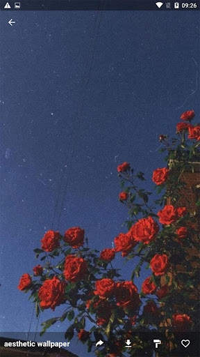 Aesthetic wallpaper screenshot 4