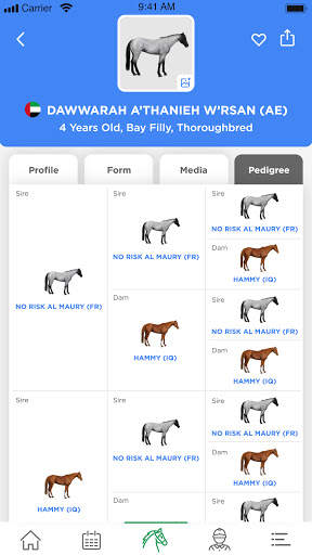 Emirates Racing Authority screenshot 7